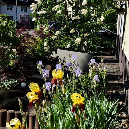 Ferienwohnung Jungbaer - Die Wohlfuehl-Adresse Im Stangenwald ザンクト・イングベルト エクステリア 写真