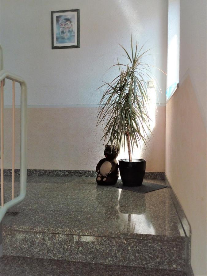 Ferienwohnung Jungbaer - Die Wohlfuehl-Adresse Im Stangenwald ザンクト・イングベルト エクステリア 写真